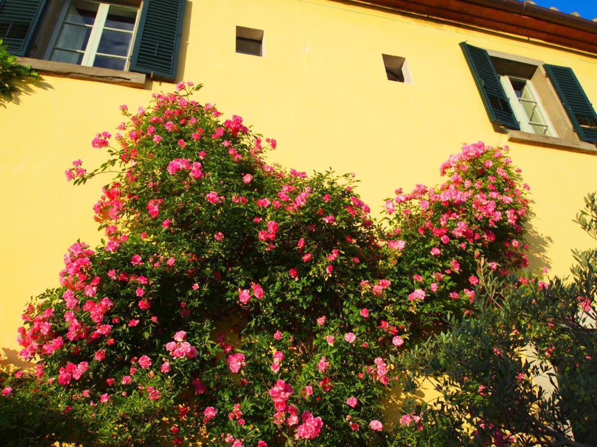 Il Sole Del Sodo Pensionat Cortona Eksteriør billede