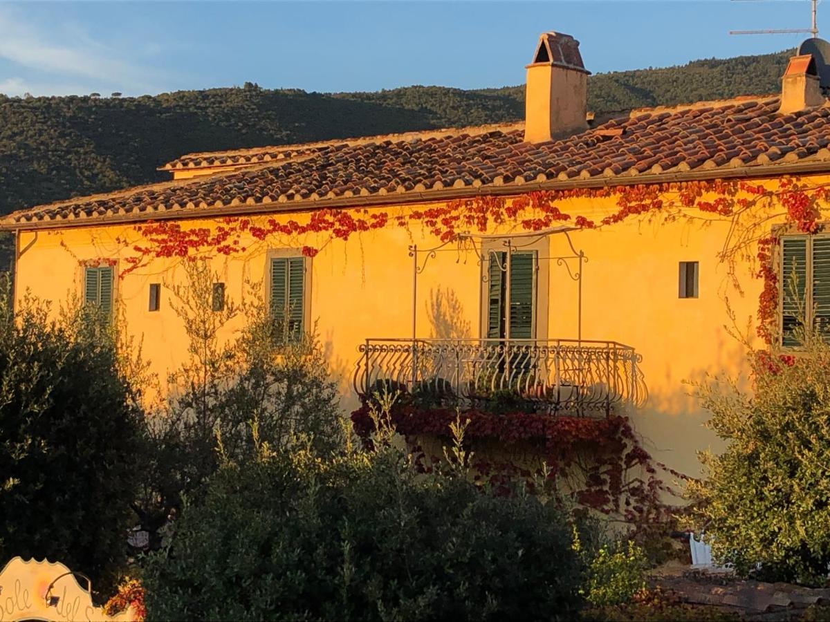 Il Sole Del Sodo Pensionat Cortona Eksteriør billede