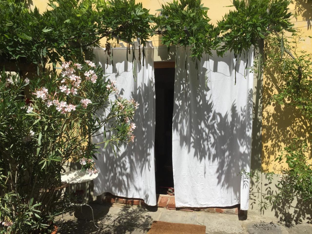 Il Sole Del Sodo Pensionat Cortona Eksteriør billede