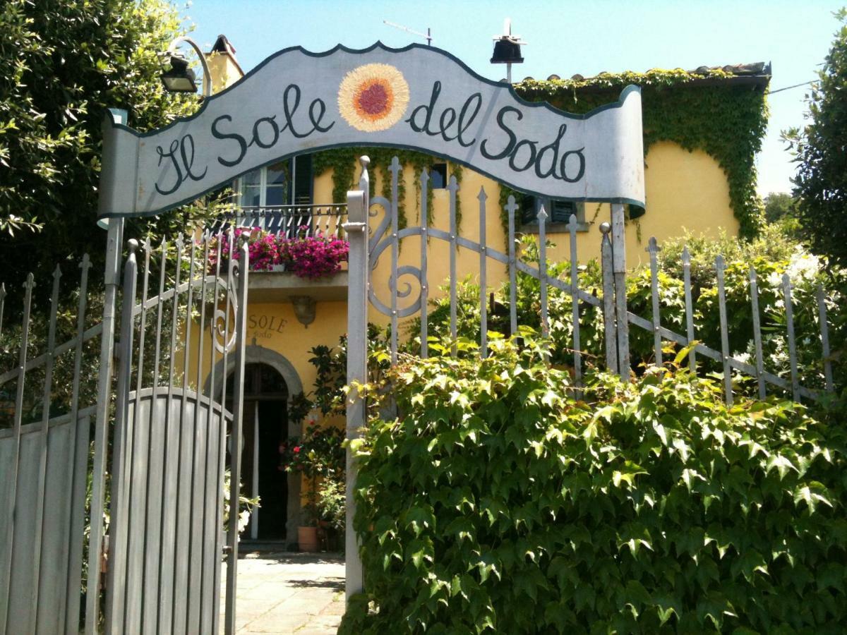 Il Sole Del Sodo Pensionat Cortona Eksteriør billede